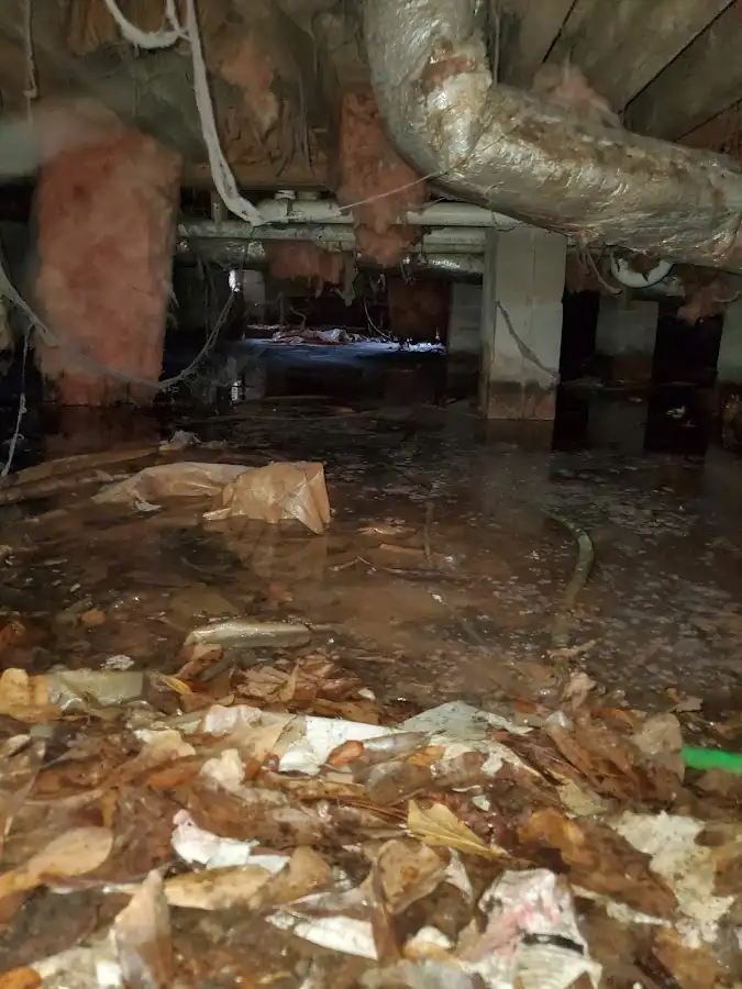 Crawl space flood assessment for Commercial Water Damage Restoration in New Hyde Park