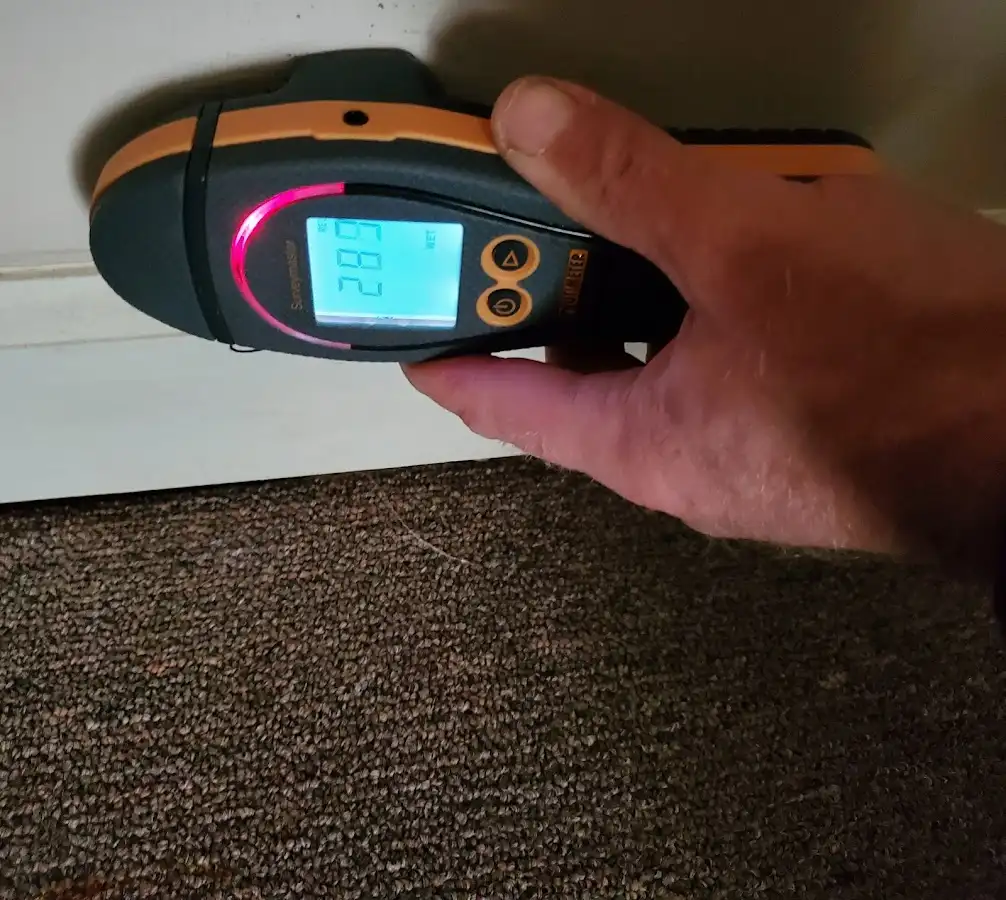 Moisture detection at baseboard during Sewage Cleanup & Sanitation in New Hyde Park